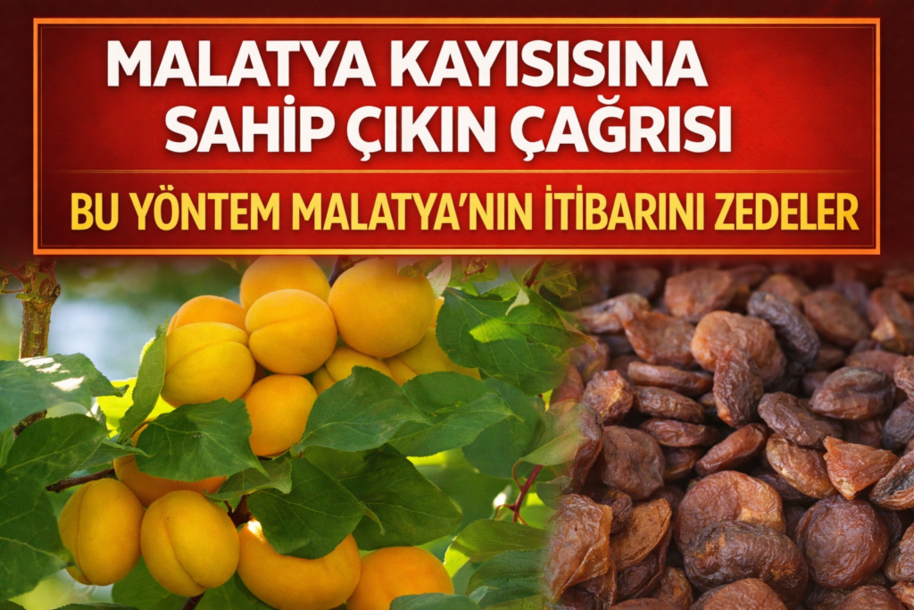 ChatGPT Image 8 Mar 2026 16_02_36